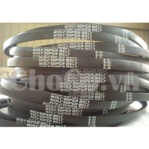 Dây Curoa Moli B50 - DCR0002 Dây Curoa Moli Chất Lượng
