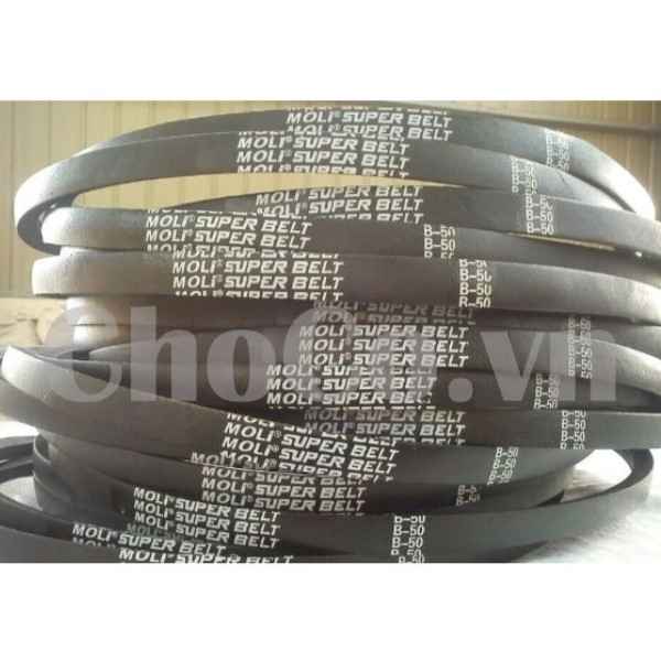 Dây Curoa Moli B50 - DCR0002 Dây Curoa Moli Chất Lượng