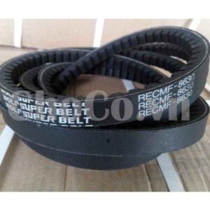 Dây Curoa Moli B50 - DCR0002 Dây Curoa Moli Chính Hãng