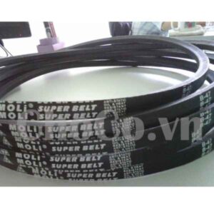 Dây Curoa Moli B50 - DCR0002 Dây Curoa Moli Dễ Dùng