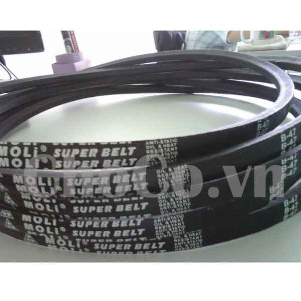 Dây Curoa Moli B50 - DCR0002 Dây Curoa Moli Dễ Dùng