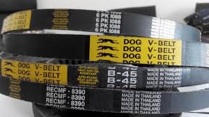 day curoa dog vbelt