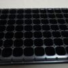 Khay ươm nhựa 104 lỗ - KHU0001 khay ươm