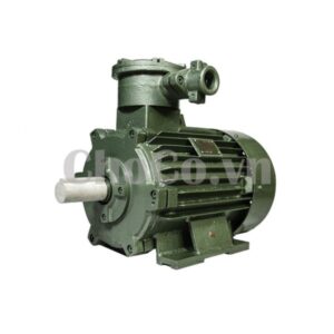 MÁY MÔ TƠ ĐIỆN TECO 2P 2.2KW - MTT0001 Mô Tơ Điện Uy Tín
