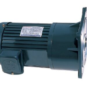 Motor-banh-rang-giam-toc-200W-1-4HP