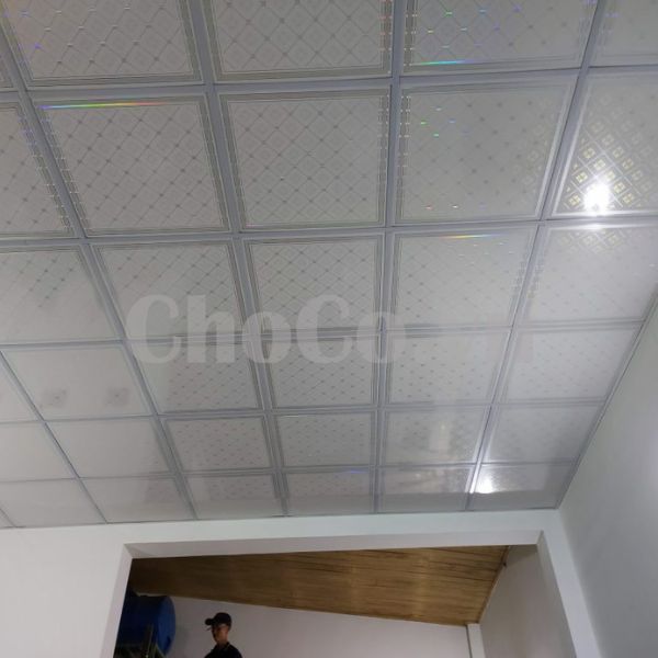Tấm Trần Nhựa PVC Chất Lượng Cao - TTN0002 Tấm Trần Nhựa Cao Cấp Uy Tín