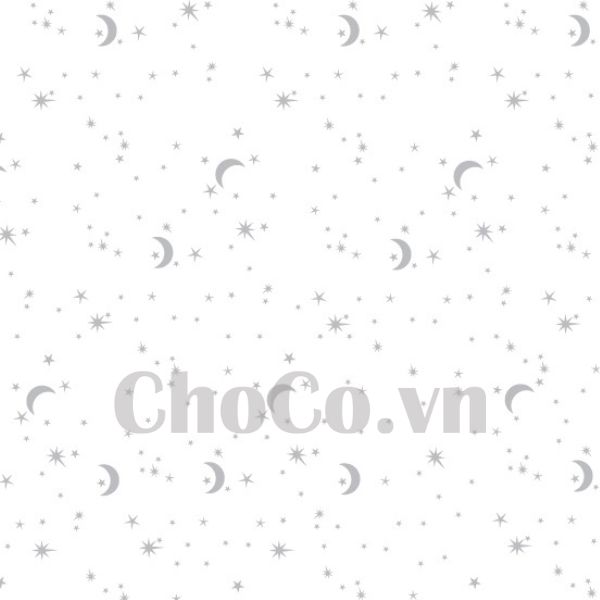 Tấm Trần Nhựa Vĩnh Tường PVC Cao Cấp - TTN0001 Tấm Trần Nhựa PVC Vĩnh Tường