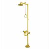 Bồn Rửa Mắt Khẩn Cấp Proguard