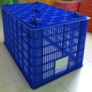 Sóng 5 Bánh Xe - PAL0010-0